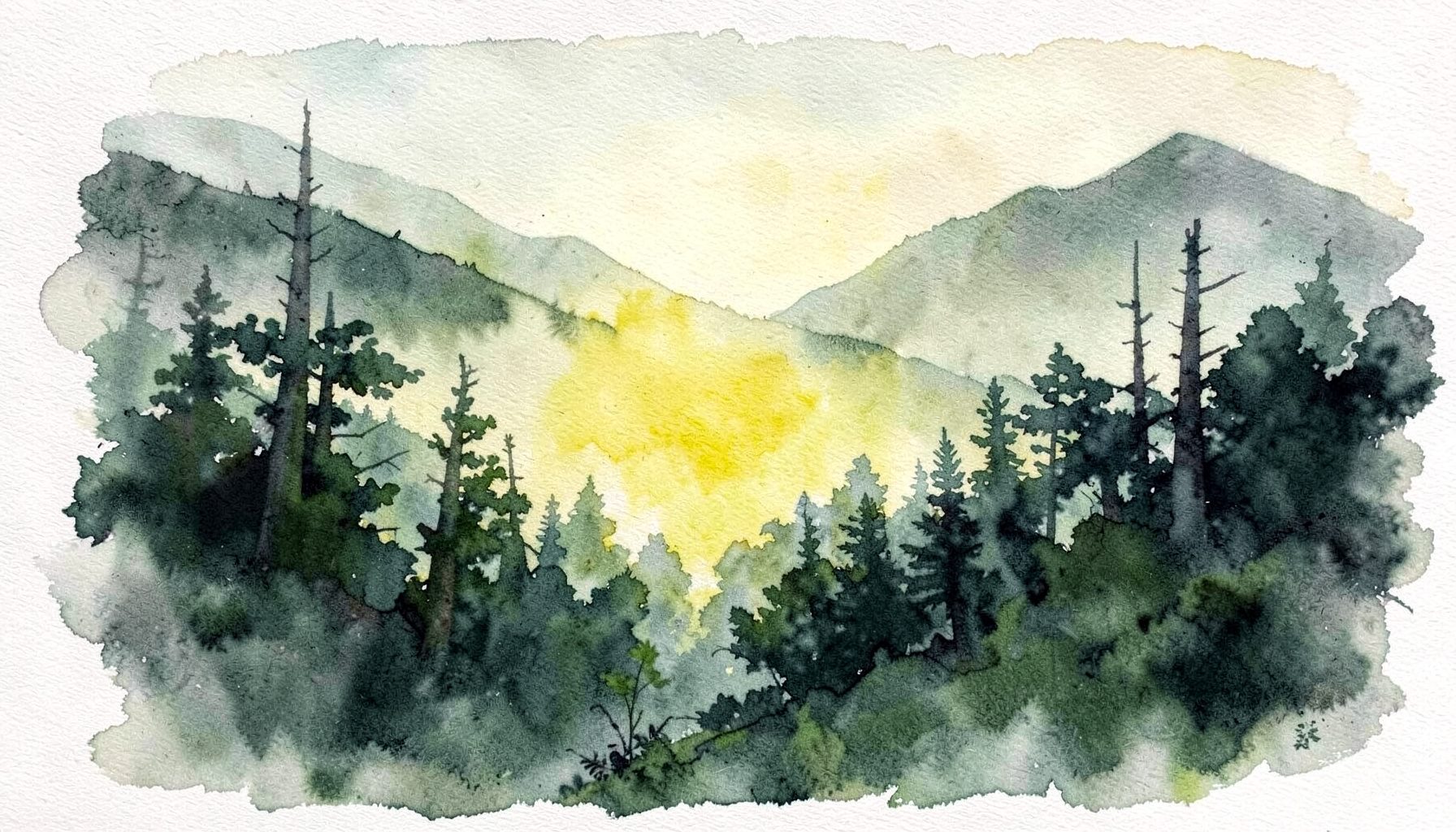 A watercolour landscape of coastal redwoods and misty hills in deep greens and soft greys, evoking Humboldt County.